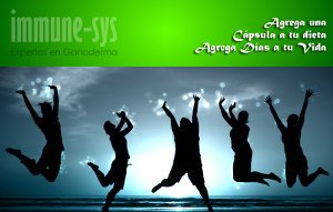 IMMUNE-SYS Expertos en ganoderma