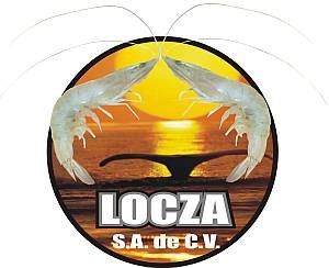 Congeladora LOCZA S.A. de C.V.