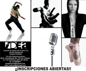Instituto de Desarrollo Artistico A.C.